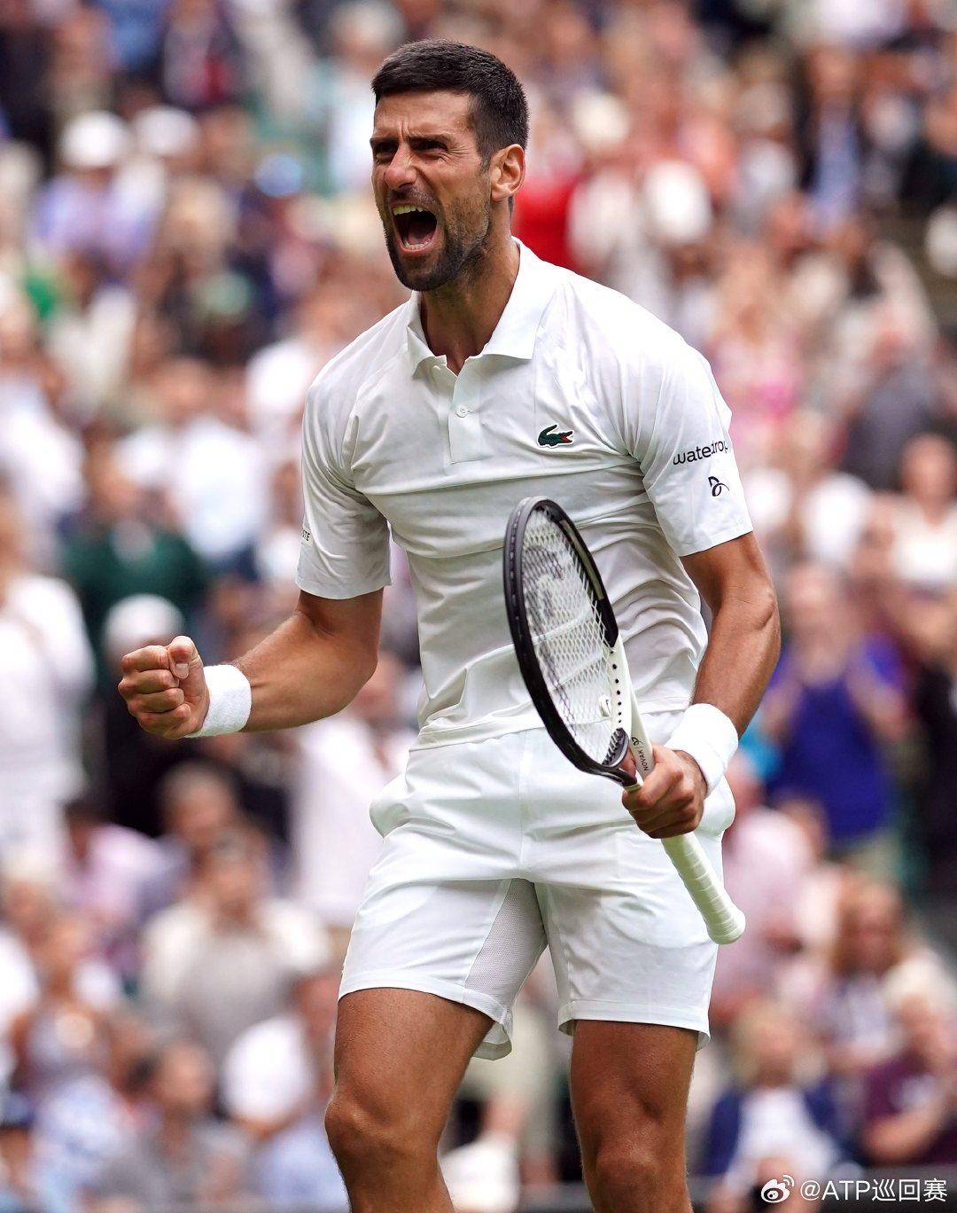 理简洁而 理简洁而